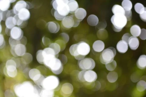 Bokeh. Stock Photos