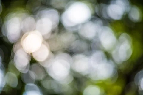 Bokeh Stock Photos