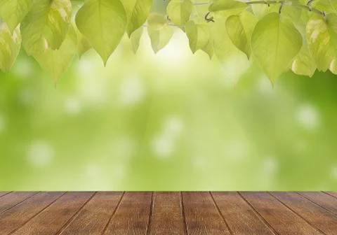 Bokeh Stock Photos