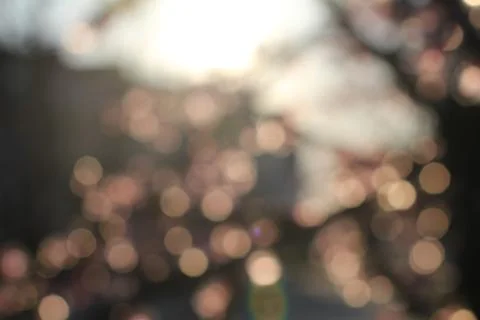 Bokeh pink circle Stock Photos