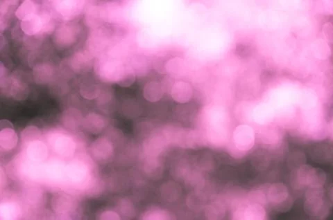 Bokeh pink 스톡 사진