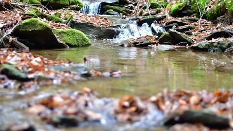 Bokeh selective focus stream flow, background focus Stock Footage 255292937