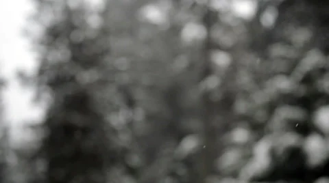 Bokeh Snowfall Seamless Loop Stock Footage 36015682