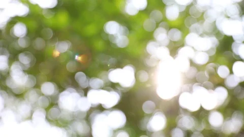 Bokeh sun Stock Footage 88317573