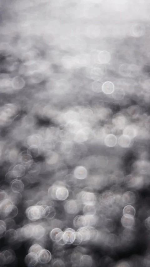 Bokeh sun glare reflected in water surface Stock Footage 289847157