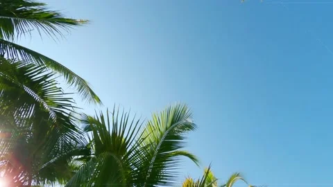 Bokeh sun light ray n sunbeam lens flare shining through coconut palm tree Stock-Footage 151450350