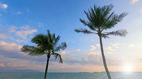 Bokeh sun light ray n lens flare on sunrise or sunset sky over sea ocean Stock Footage 160117685