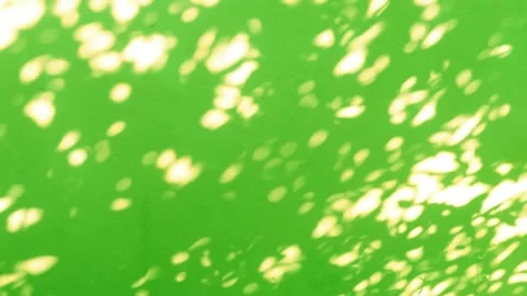 Bokeh sun light ray n bright sunlight shadow drops on yellow green cement wall Stock Footage 170832039