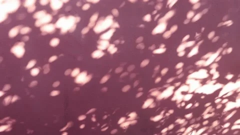 Bokeh sun light ray n bright sunlight shadow drops on purple pink cement wall Stock Footage 170832161