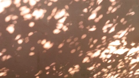 Bokeh sun light ray n bright sunlight shadow drops on Red orange cement wall Stock Footage 170832208