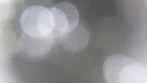Bokeh sunlight between tree leaves Stock Footage 264939480
