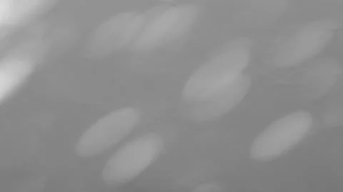 Bokeh sunlight shadow overlay on cement texture background Stock Footage 148219764