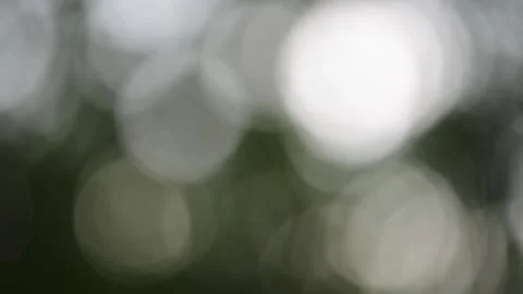 Bokeh of swaying in the wind in the background trees. Stock Footage 141528547