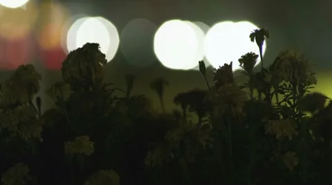 Bokeh time lapse Video stock 7762295