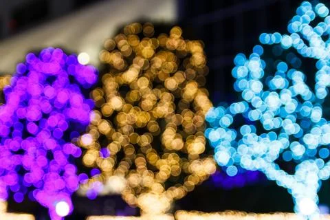 Bokeh on the tree. Stock Photos