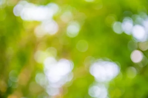 Bokeh tree Stock Photos