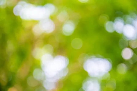 Bokeh tree Stock Photos