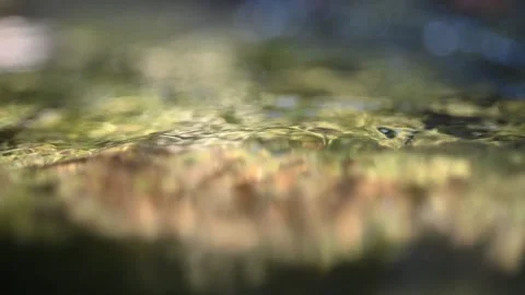 Bokeh of water flowing in a mountain stream Stock-Footage 260866876