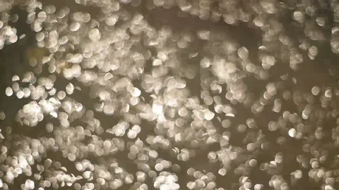 Bokeh of water Stock Footage 164978348