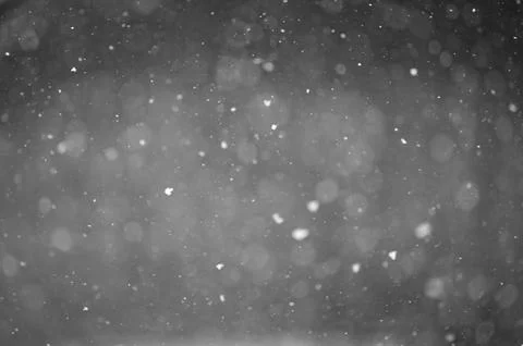 Bokeh of white snow on a square shape gray background. Falling snowflakes on  Foto stock
