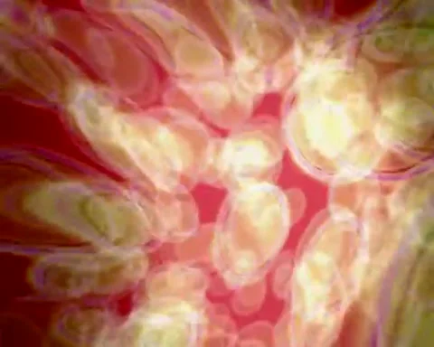 Bokeh yellow molecules moving red background Stock Footage 255921161
