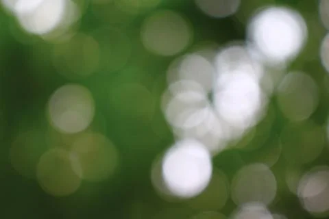 Bokeh.Circle abstract background Photos