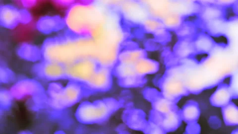 Bokey abstact Stock Footage 165576476