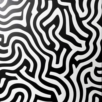 A bold abstract design featuring black and white maze-like patterns. Illustration