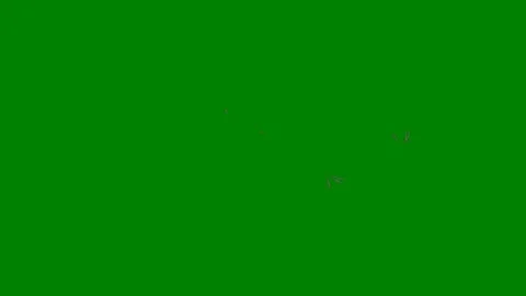 A bold abstract green screen transition featuring dynamic lines and fluid Stock Footage 301387168