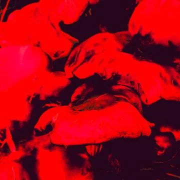 Bold abstract red organic texture with dark contrast Stock Photos