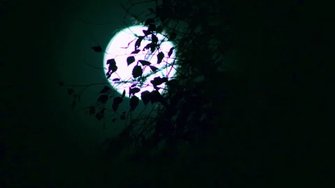 Bold and Blue Moon Moving Fast with Tree Branch with Leaves Stock Footage 238789342
