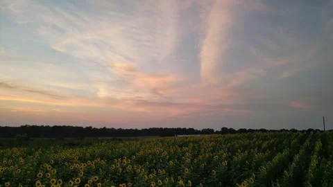 Bold and bright summer sunset Stock Footage 304883744