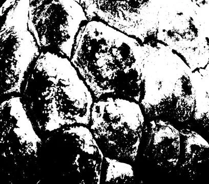Bold Black and White Rendering of Tropical Fruit ( Buah Nona) Stock Photos