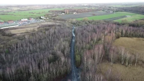 Bold collier moss, St Helens Stock Footage 167979412