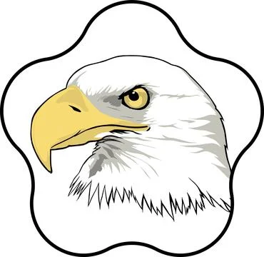 Bold Eagle Flat Vector Illustration Stock Illustration