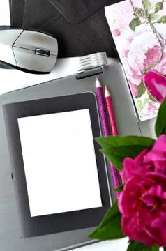 Bold pink peonies on white and black theme 写真素材