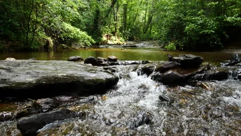 Bold rushing mountain stream 動画素材 211445343