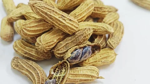 Boled tiger stripe peanuts inside cracked open shell on white background. 스톡 동영상 339991048