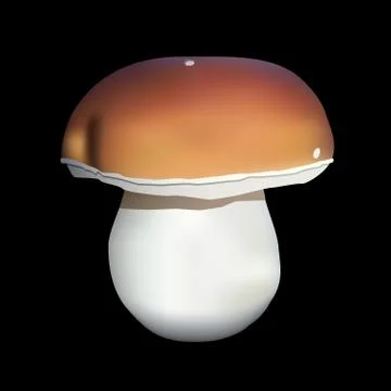 Boletus Stock Illustration