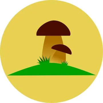 Boletus Mushroom Stock Illustration