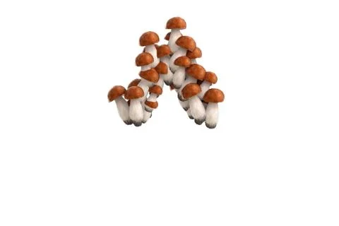 Boletus mushroom symbol ^ on white background Stock Illustration