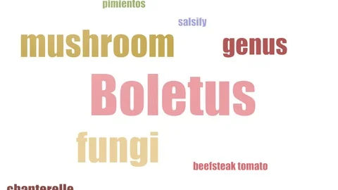 Boletus Word Cloud Animated On White Background Stock Footage 103664212