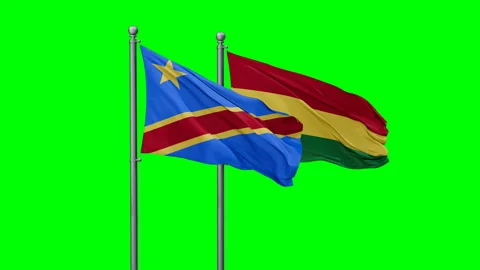 Bolivia and Congo-Kinshasa flags Stock Footage 292799310