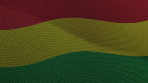 Bolivia Flag Digital Particle Waving Seamless Loop Animation on Black Backg.. Stock Footage 339302247