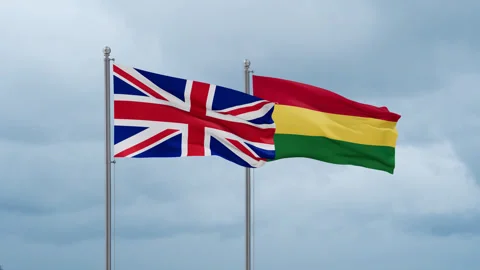 Bolivia flag Stock-Footage 251746698