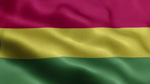 Bolivia flag Front Stock Footage 318663089