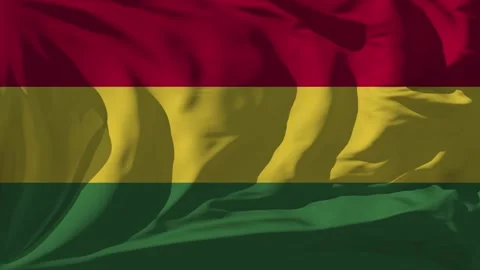 Bolivia Flag Loop Stock Footage 295719730