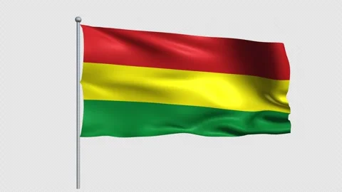 Bolivia flag - Pack 1 Stock Footage 343842399