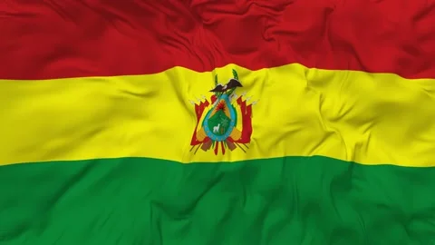 Bolivia Flag Seamless Looping Background Waving Slow Motion Stock Footage 233884138