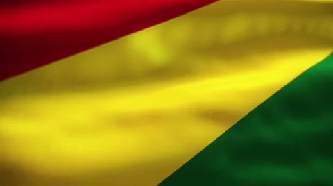Bolivia flag waving Stock Footage 55495054